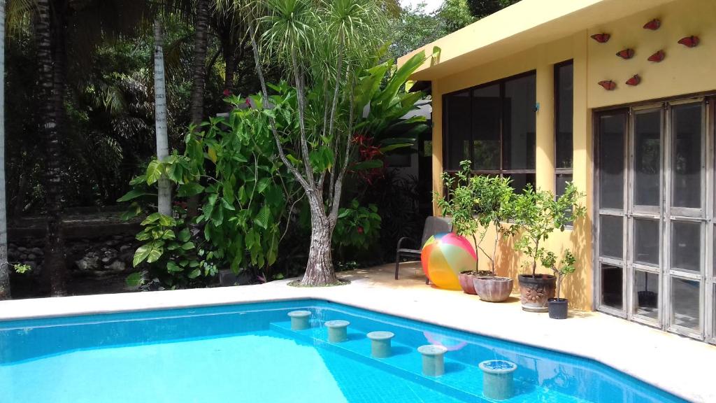 Casa Kin33